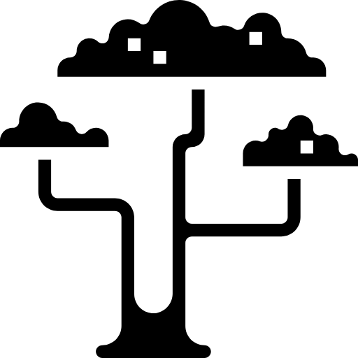 Acacia Web